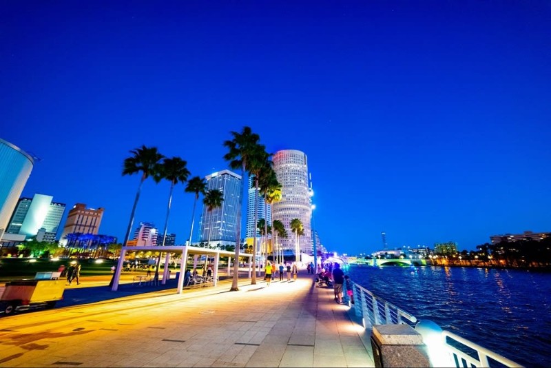 Downtown Tampa Home Search